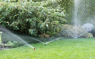 Irrigation of a Florida garden with sprinkler system