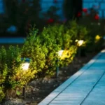 Three path lights lining a walkway outside a home.