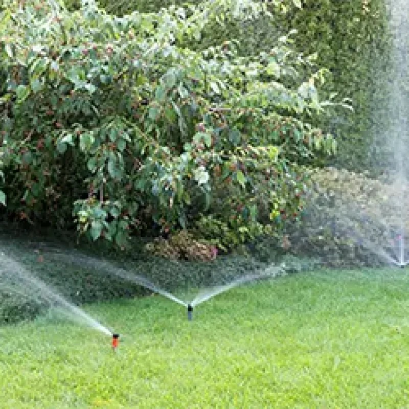 Irrigation of a Florida garden with sprinkler system